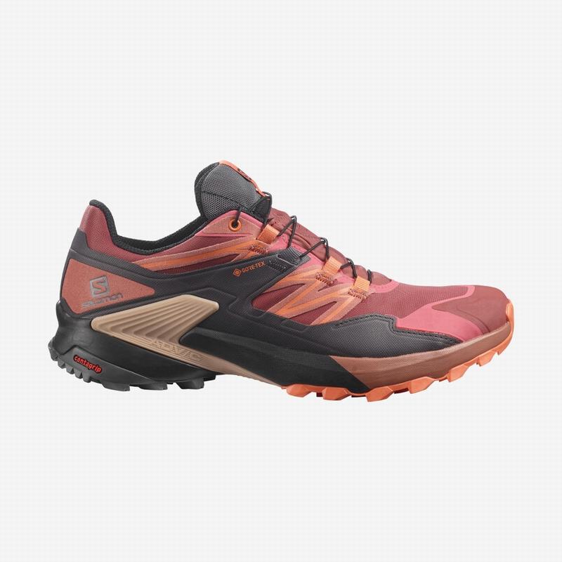 Salomon WINGS SKY GORE-TEX Zapatillas Trail Running Mujer - Rojas / Negras - Colombia (79103-SVNM)